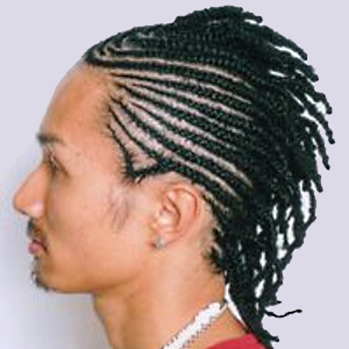 Tresse homme afro