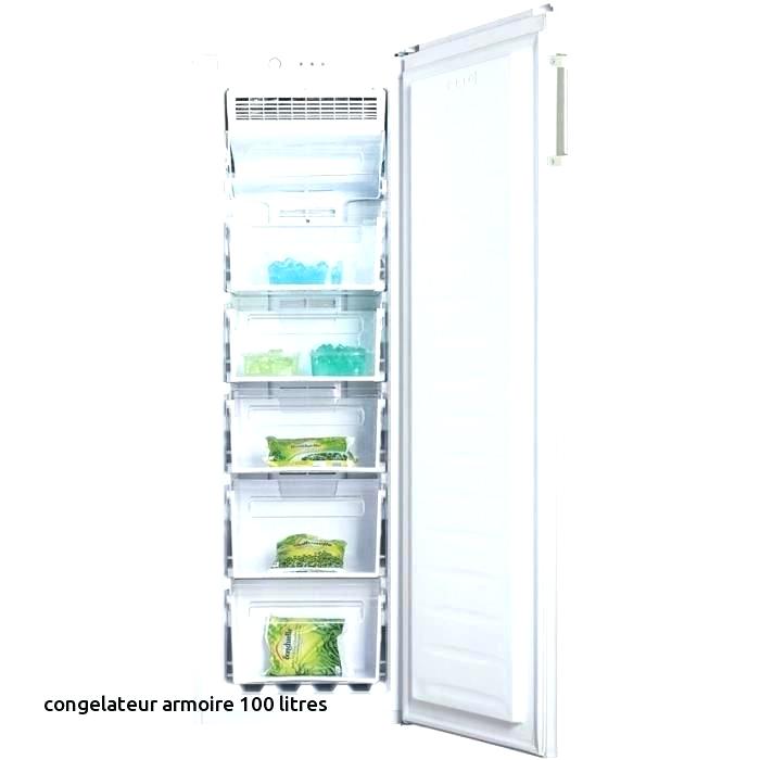 Congelateur carrefour armoire