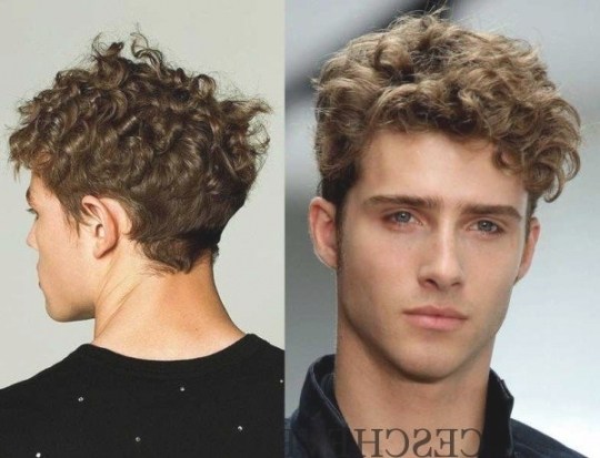 Cheveux homme bouclé