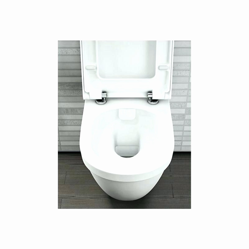 Wc geberit leroy merlin